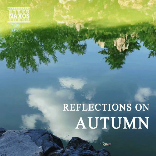 爱情岛❤️永久入口VIP
